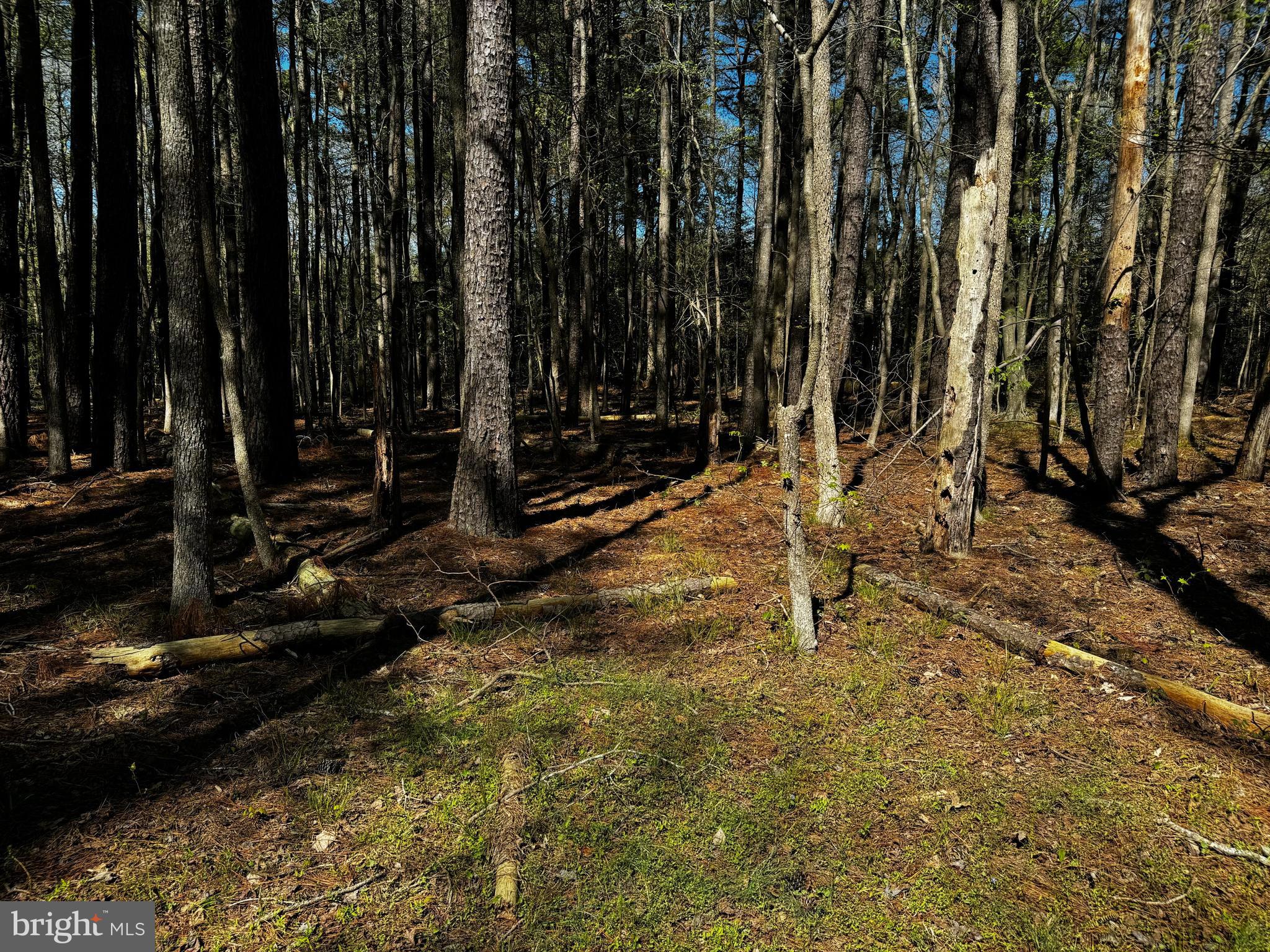 0 Public Landing Road Snow Hill, MD 21863 - Photo 5 of 11