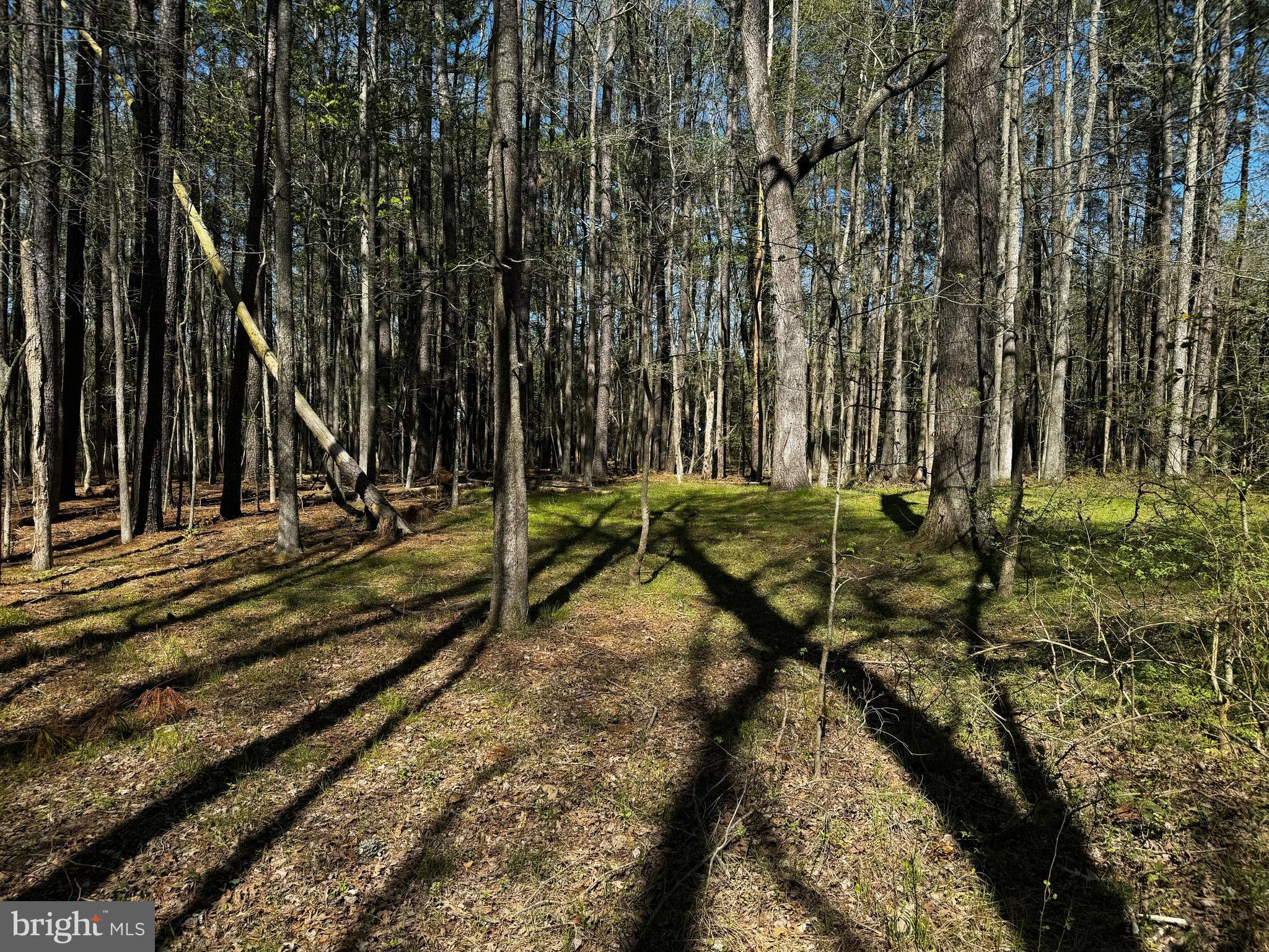 0 Public Landing Road Snow Hill, MD 21863 - Photo 10 of 11