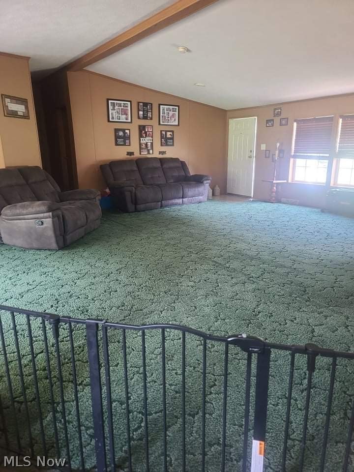 9859 Lowmiller Road Minerva, OH 44657 - Photo 5 of 14 Gallery Image 5