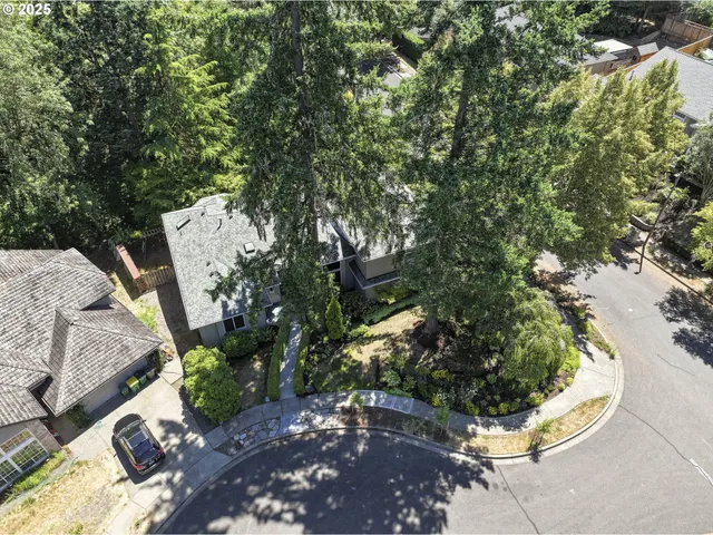 a view of a tree in a yard