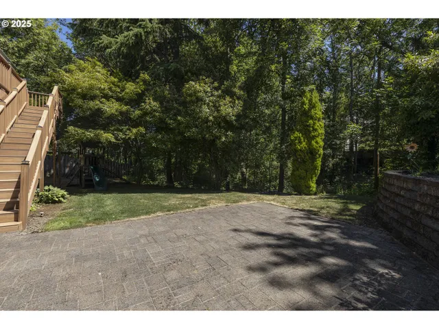 a view of a yard with a tree