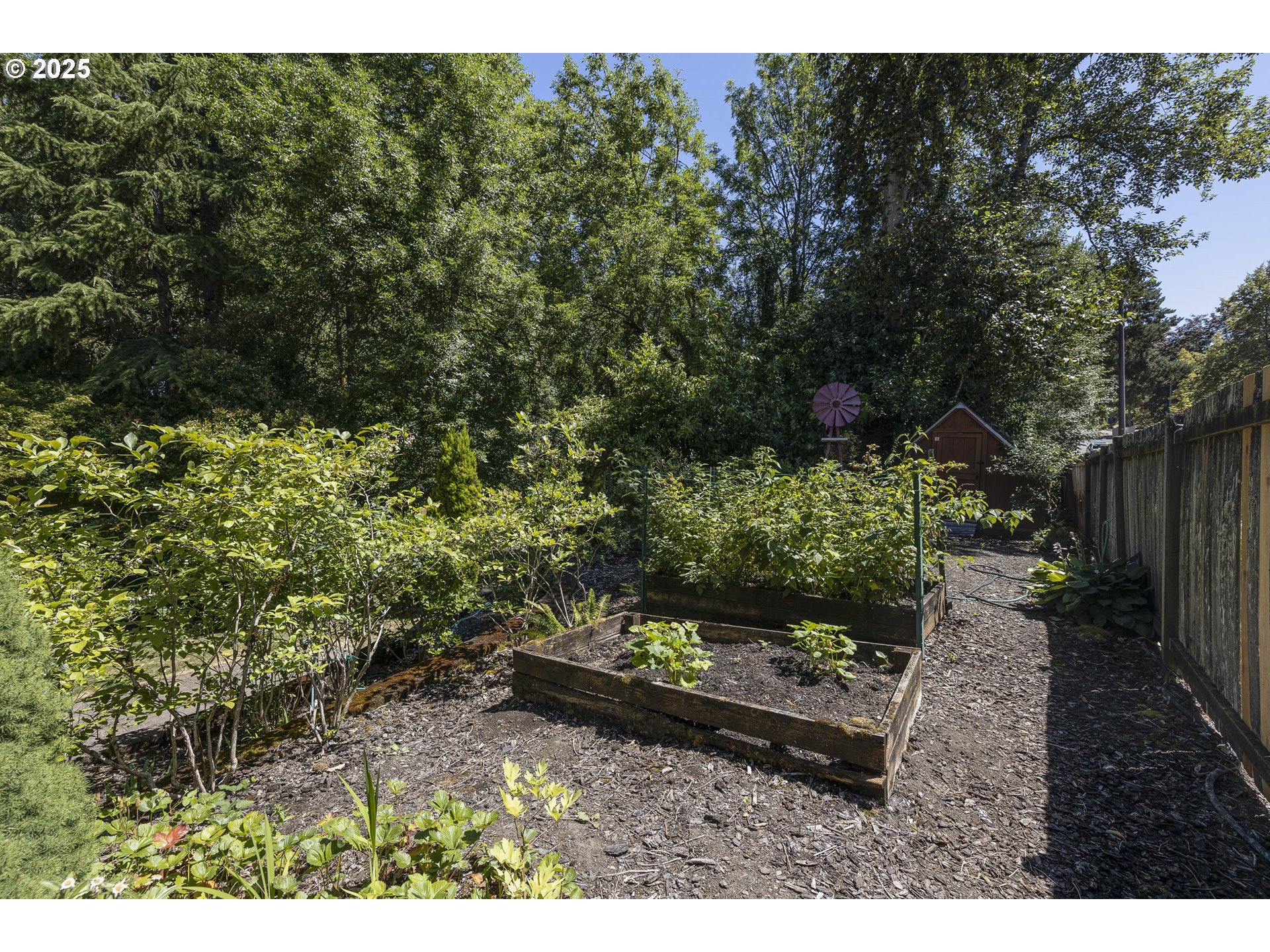 6939 Southwest 148th Court Beaverton, OR 97007 - Photo 26 of 27 Garden