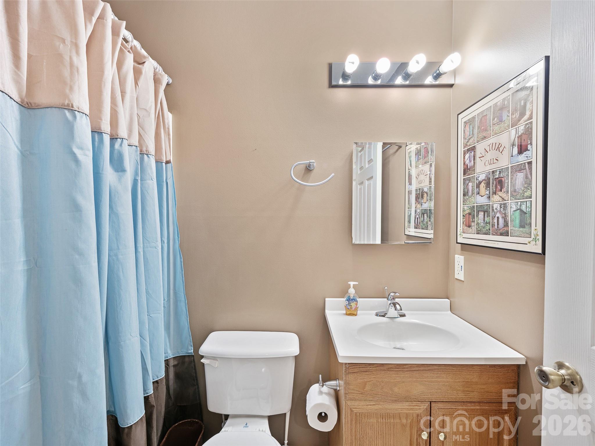 142 Wildflower Road Spruce Pine, NC 28777 - Photo 27 of 46 a bathroom with a sink a toilet and mirror