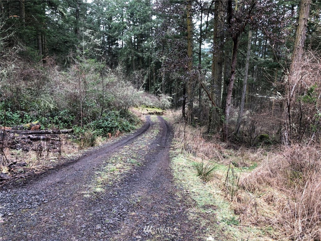 2856 Roche Harbor Road San Juan Island, WA 98250 - Photo 1 of 12 Gallery Image 1