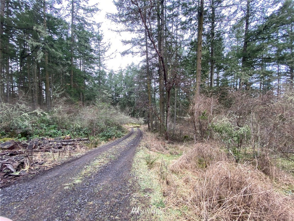 2856 Roche Harbor Road San Juan Island, WA 98250 - Photo 6 of 12 Gallery Image 6
