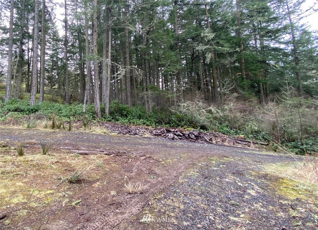 2856 Roche Harbor Road San Juan Island, WA 98250 - Photo 7 of 12 Gallery Image 7