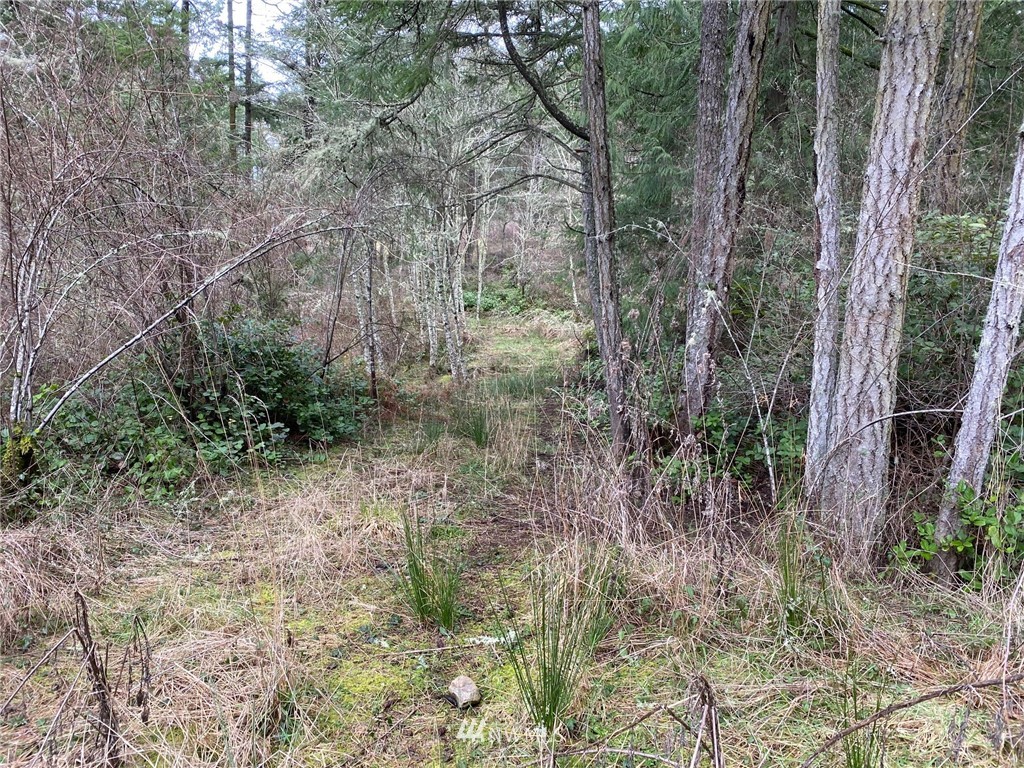 2856 Roche Harbor Road San Juan Island, WA 98250 - Photo 8 of 12 Gallery Image 8