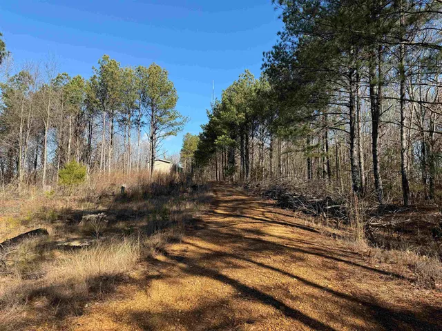 a view of a yard with trees