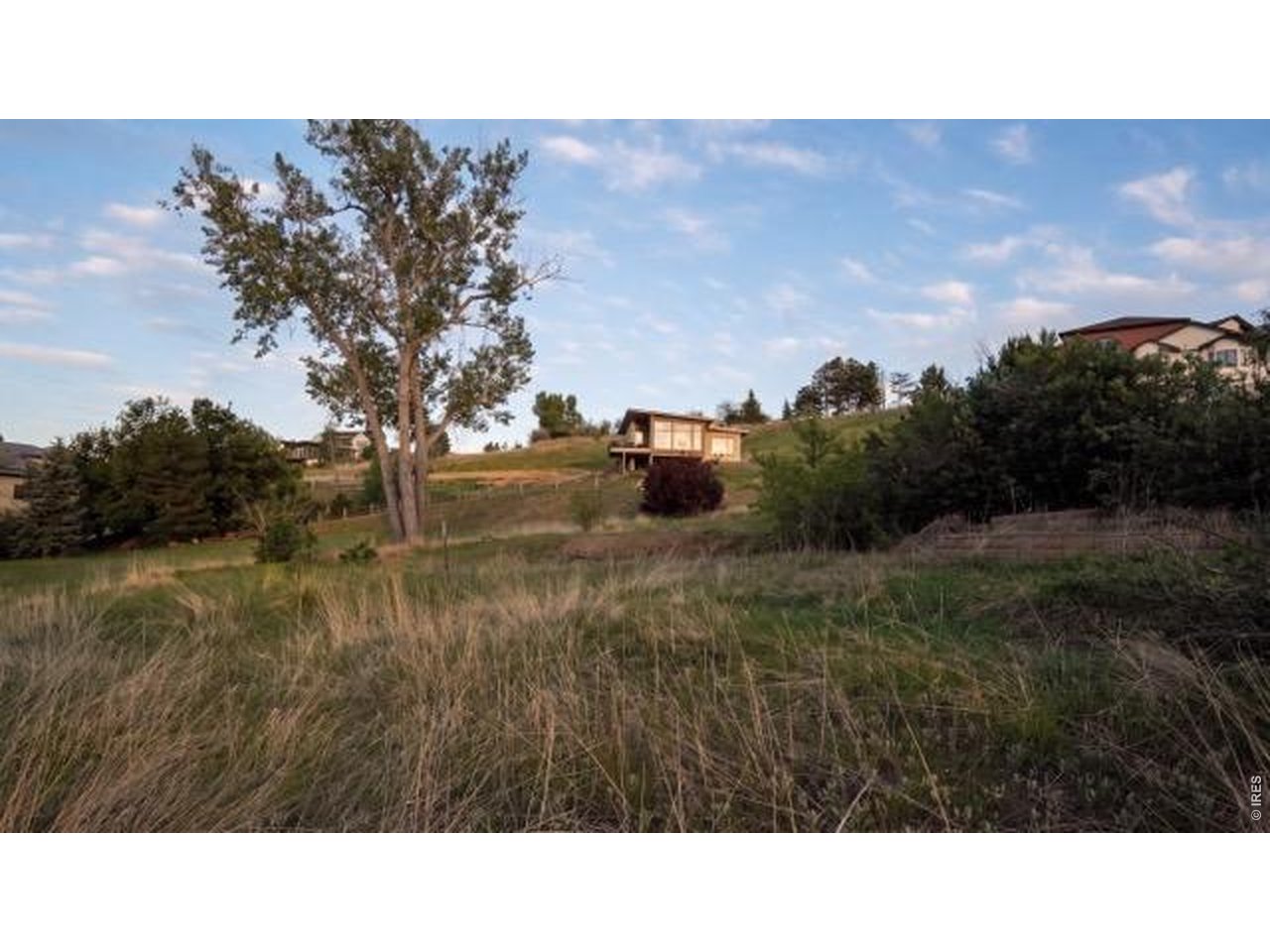 7257 Spring Court Boulder, CO 80303 - Photo 31 of 36 a black and white photo of a field