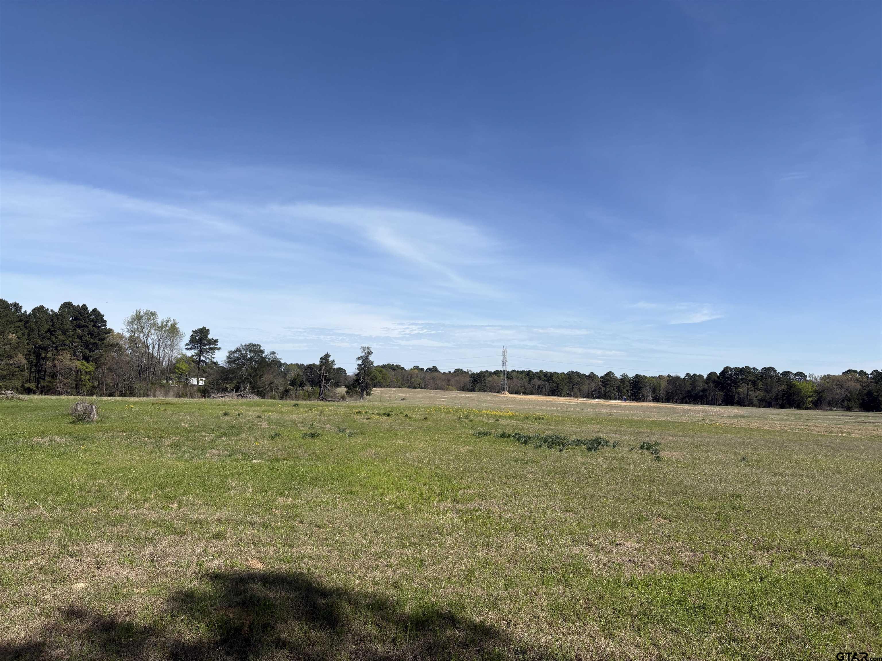 11358 C R 4128 Lindale, TX 75771 - Photo 11 of 14