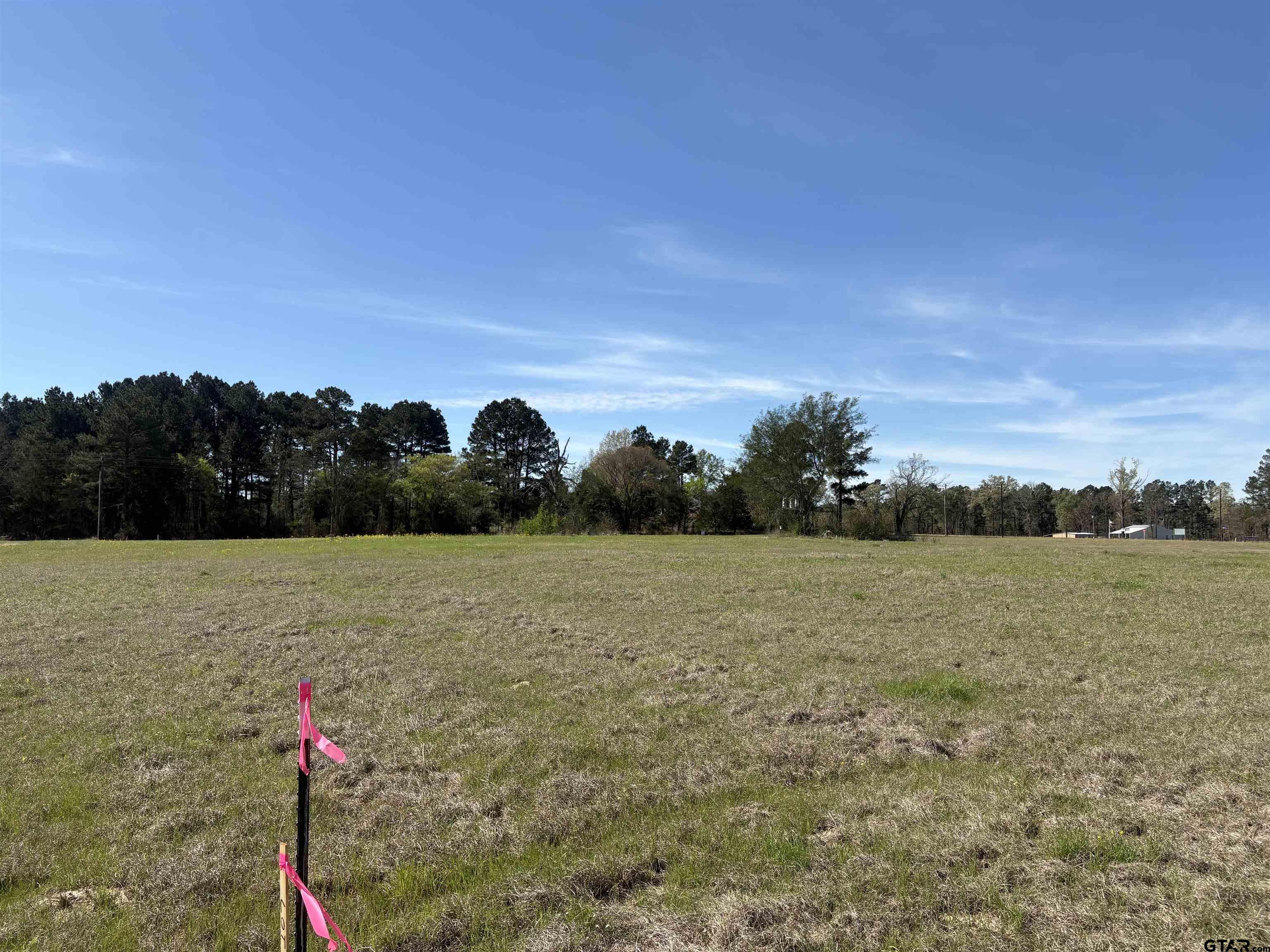 11358 C R 4128 Lindale, TX 75771 - Photo 2 of 14