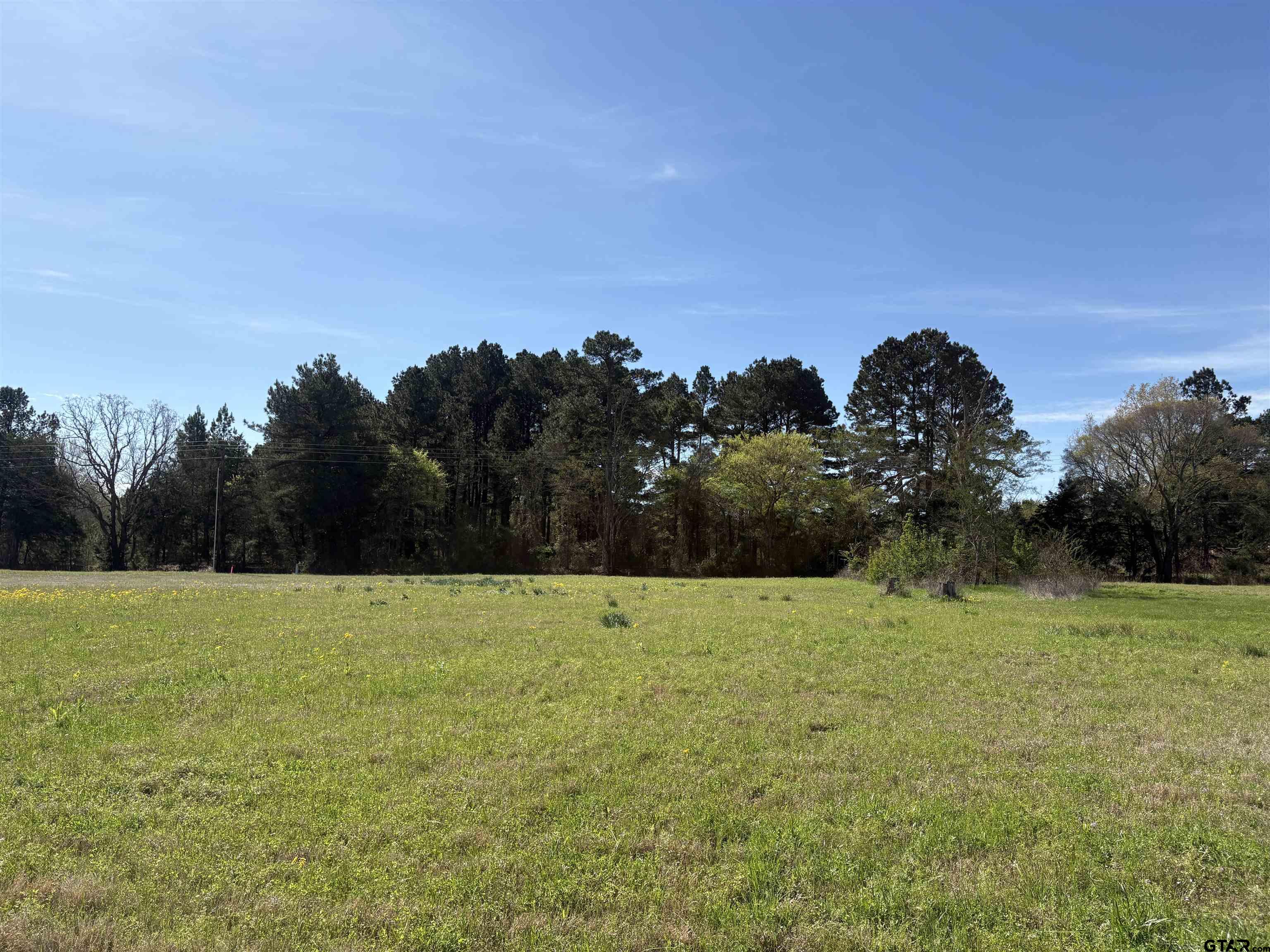 11358 C R 4128 Lindale, TX 75771 - Photo 6 of 14