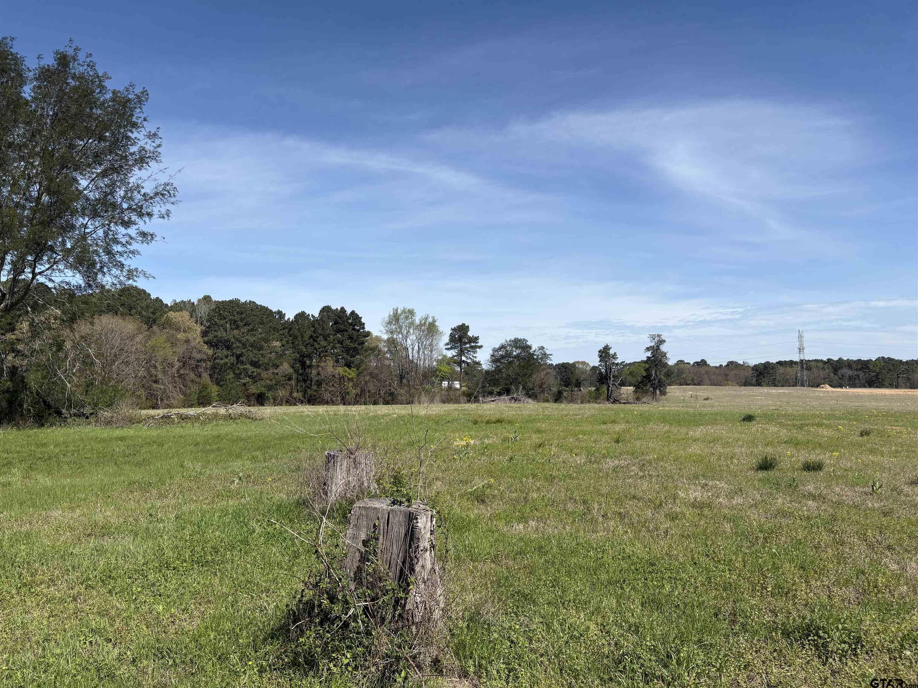 11358 C R 4128 Lindale, TX 75771 - Photo 7 of 14