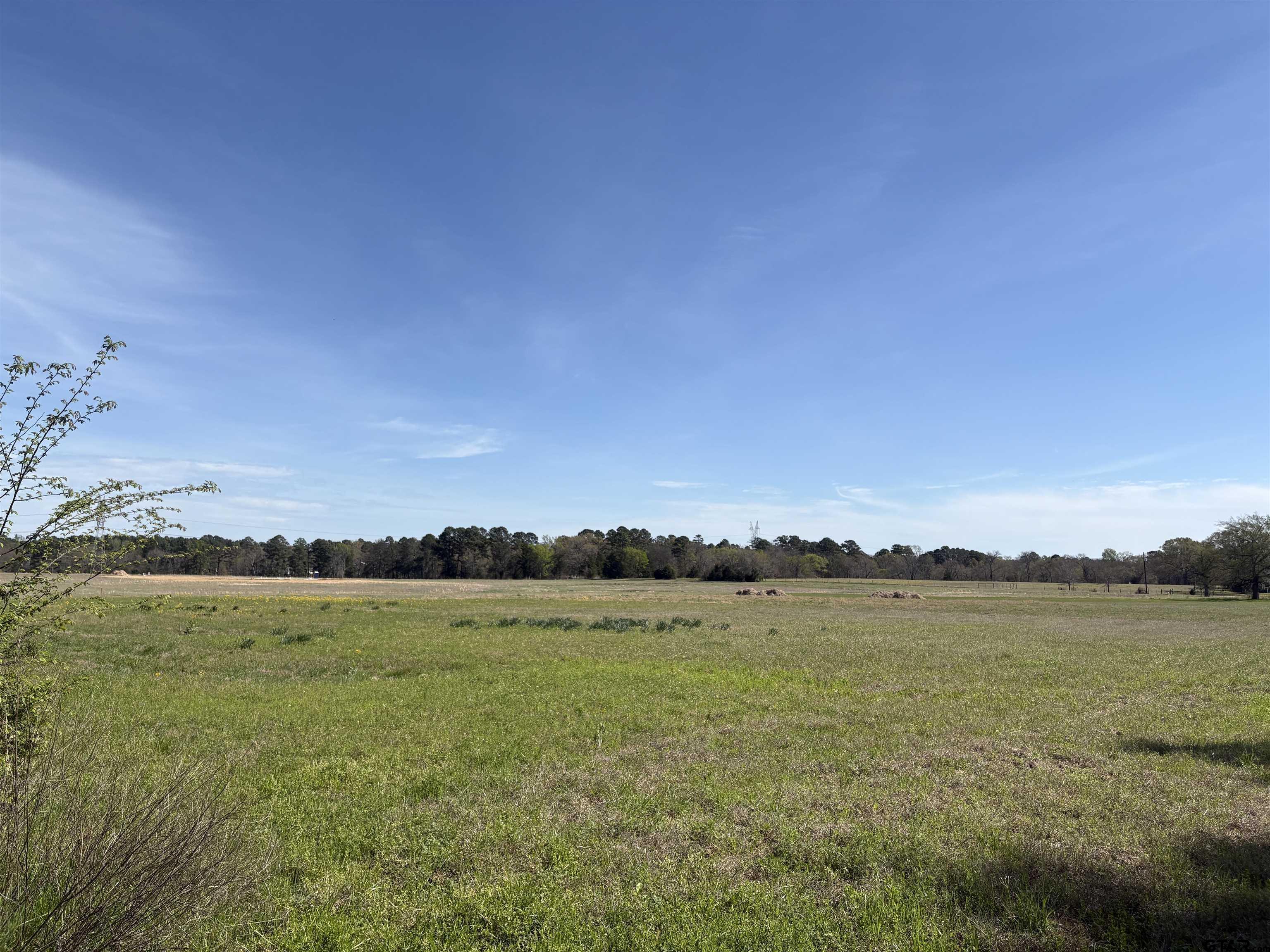 11358 C R 4128 Lindale, TX 75771 - Photo 8 of 14