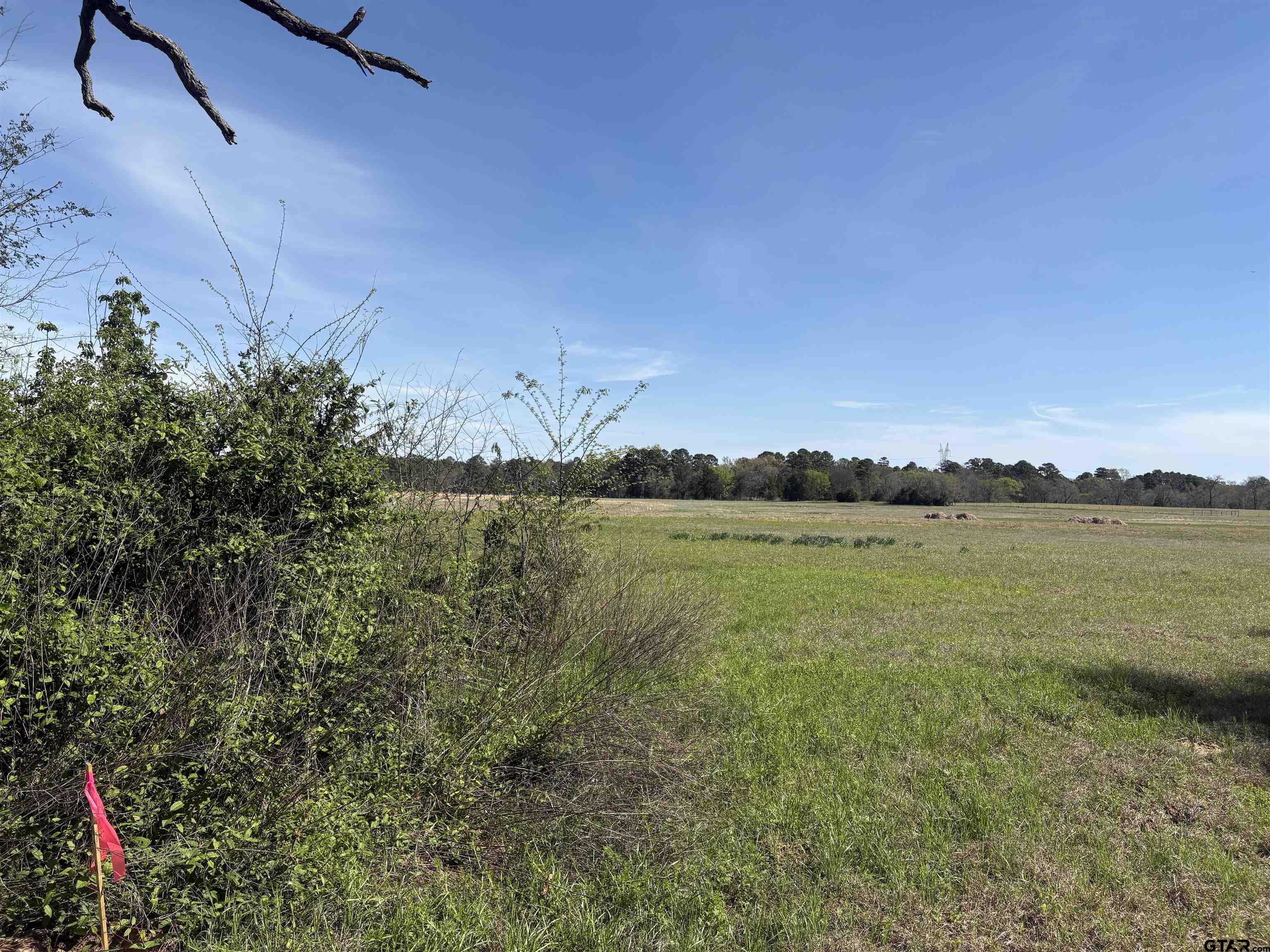 11358 C R 4128 Lindale, TX 75771 - Photo 9 of 14