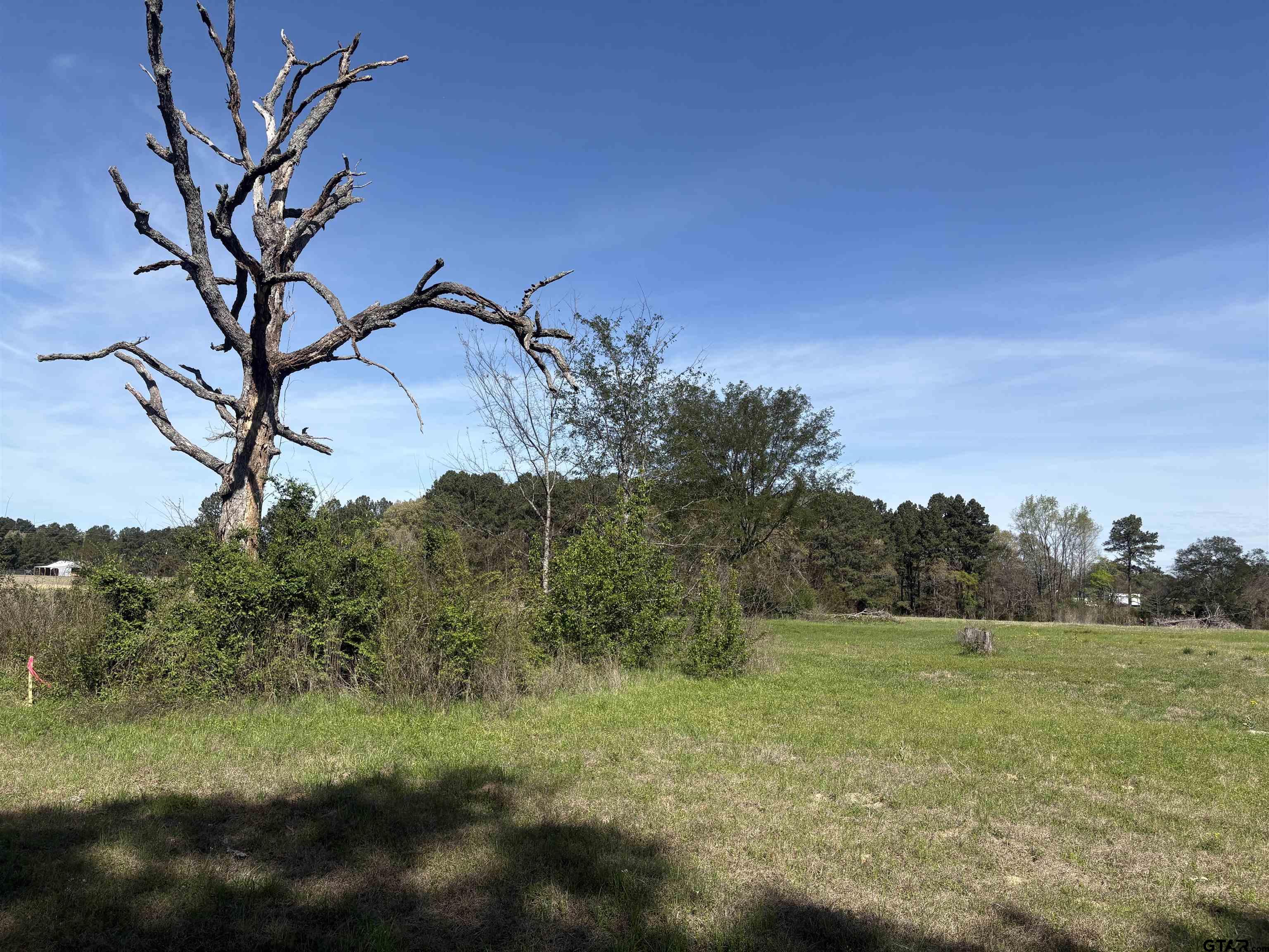 11358 C R 4128 Lindale, TX 75771 - Photo 10 of 14