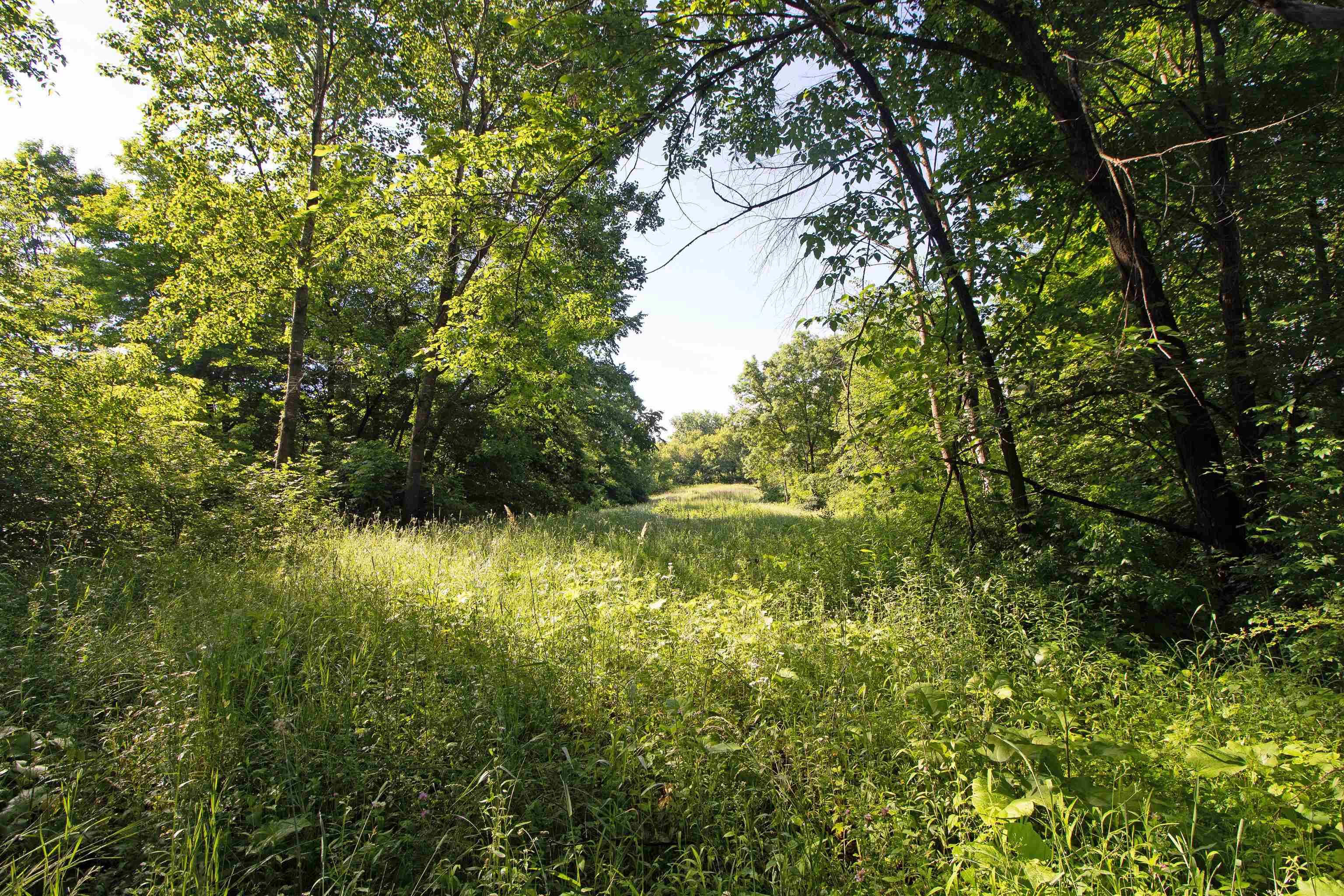 76-acres Skyline Road Blue River, WI 53518 - Photo 31 of 46