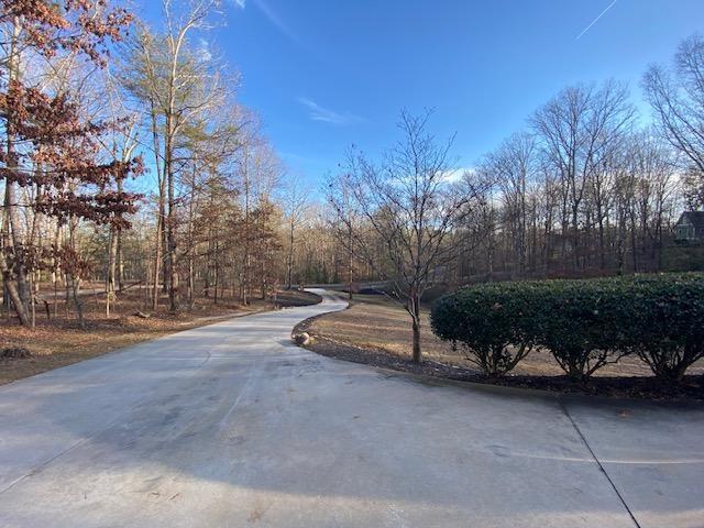 351 Shoals Lane Clarkesville, GA 30523 - Photo 5 of 38 a view of a street with a tree