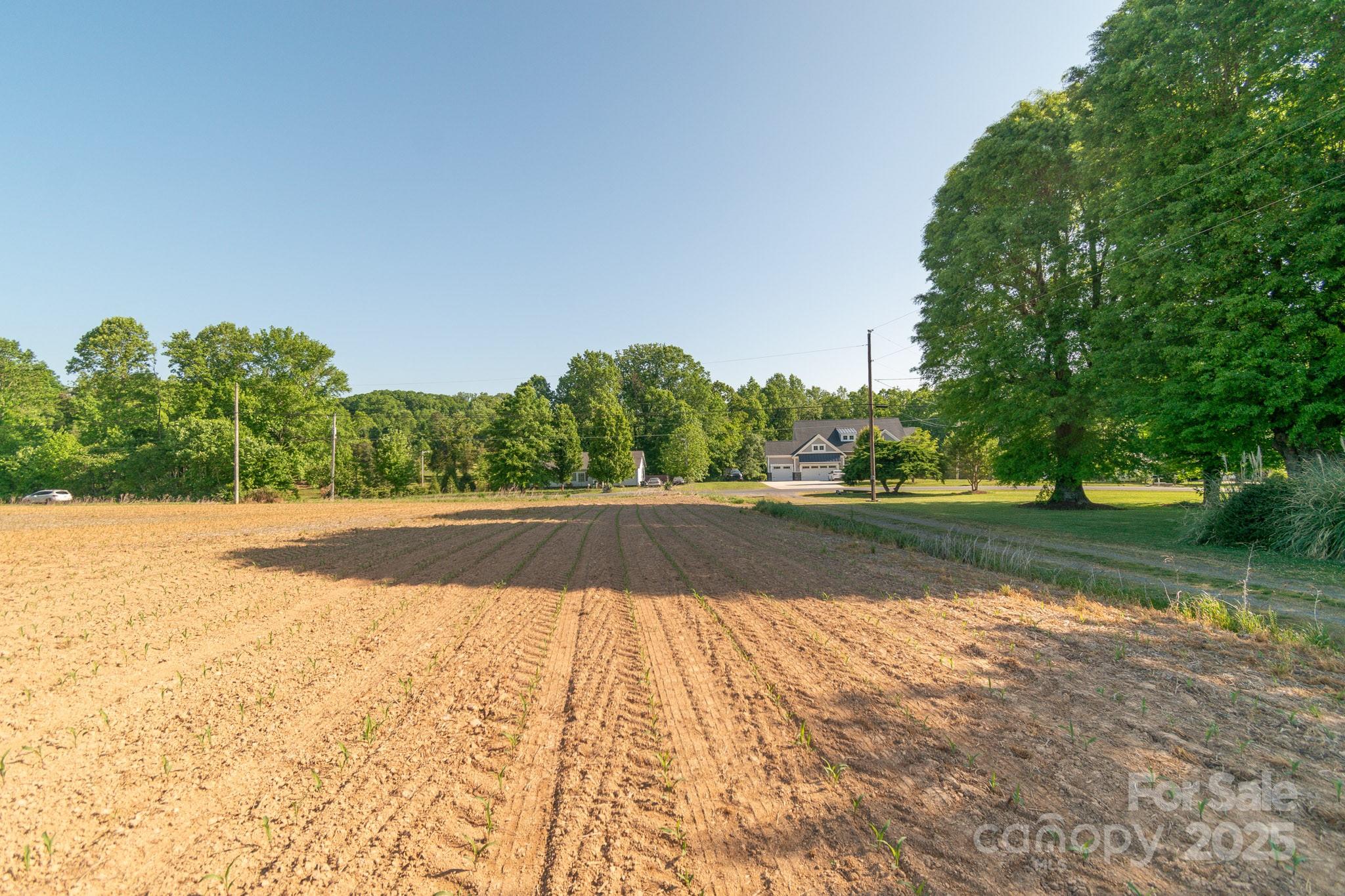 0 Hearne Road New London, NC 28127 - Photo 3 of 8 a view of yard with large trees