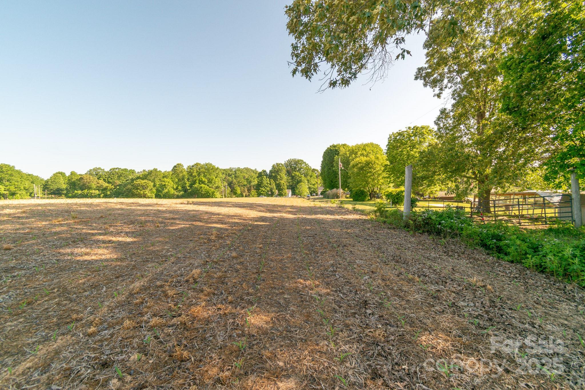 0 Hearne Road New London, NC 28127 - Photo 5 of 8 a view of a road with a yard