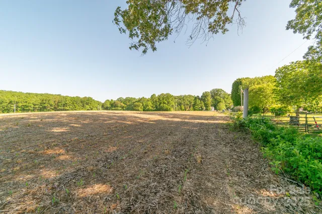 a view of a yard with a tree