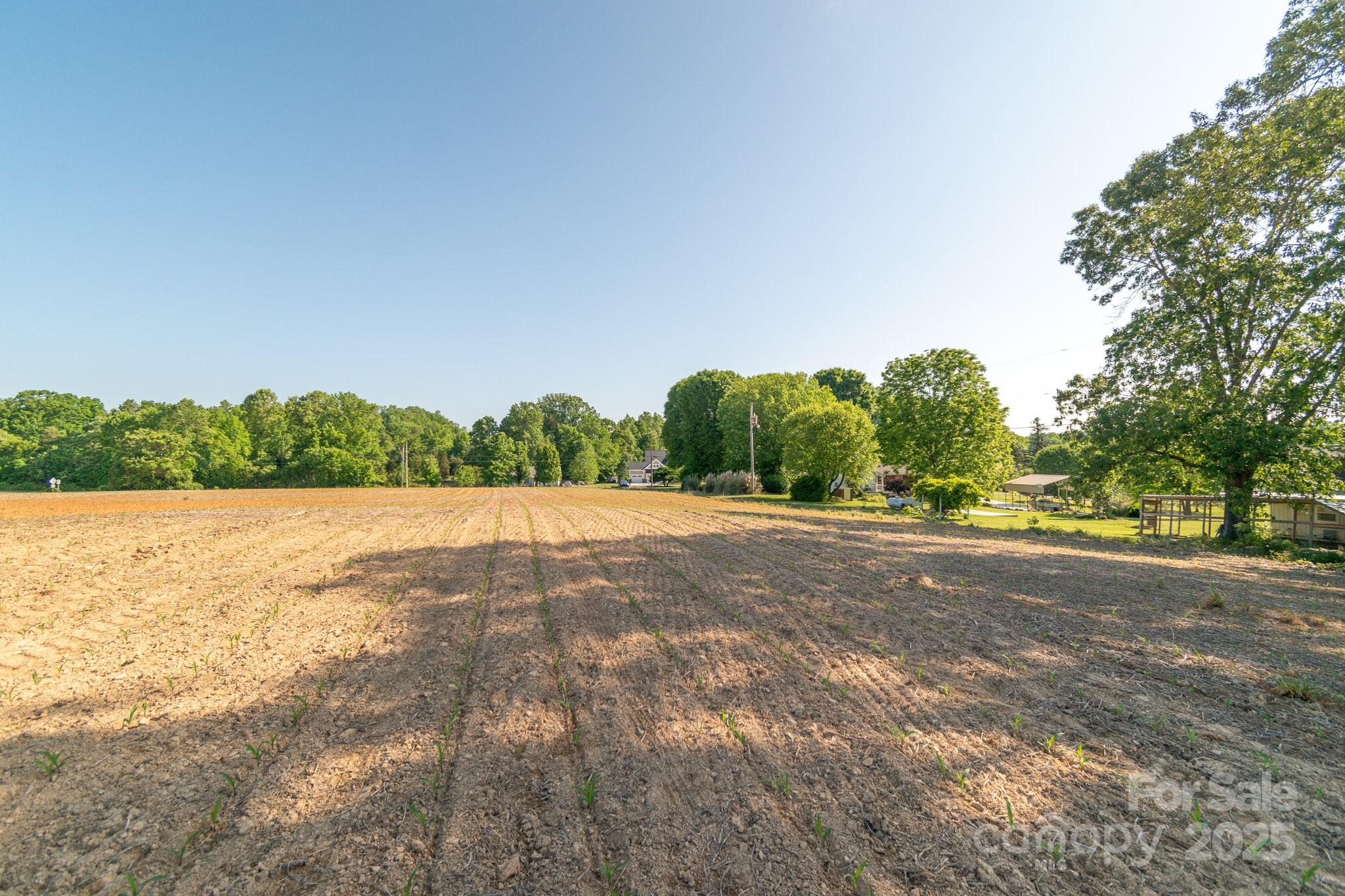 0 Hearne Road New London, NC 28127 - Photo 7 of 8 a view of an outdoor space and a yard