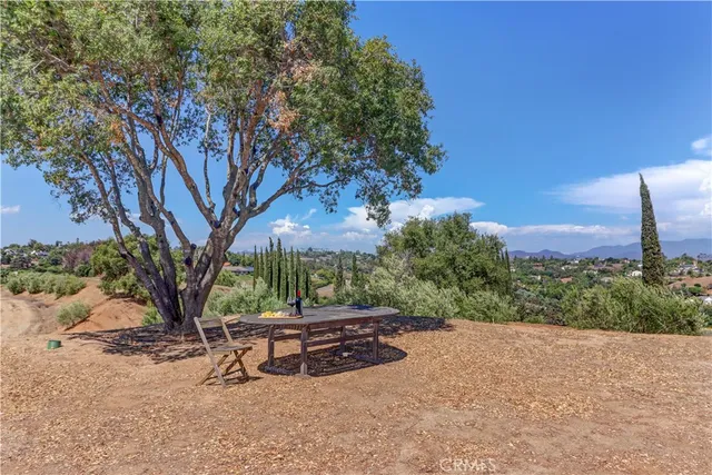 a view of a backyard with large trees