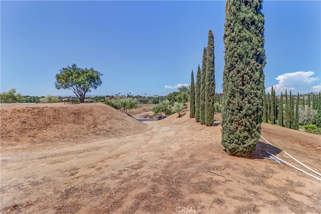 4034 Bridlewood Road Fallbrook, CA 92028 - Photo 5 of 19 a view of a plants