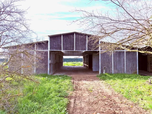a backyard of a house with lots of green space