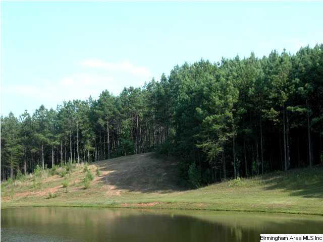 0 Lees Bridge Road, Unit 27 ACRES Delta, AL 36258 - Photo 5 of 8