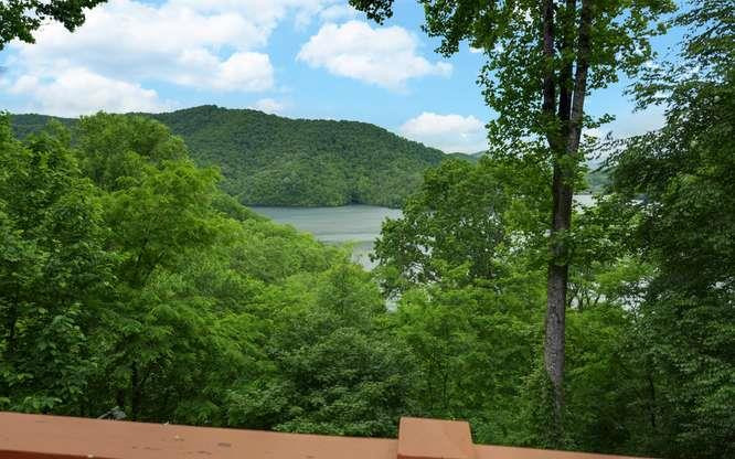 135 Ridge Top Drive Topton, NC 28781 - Photo 27 of 60
