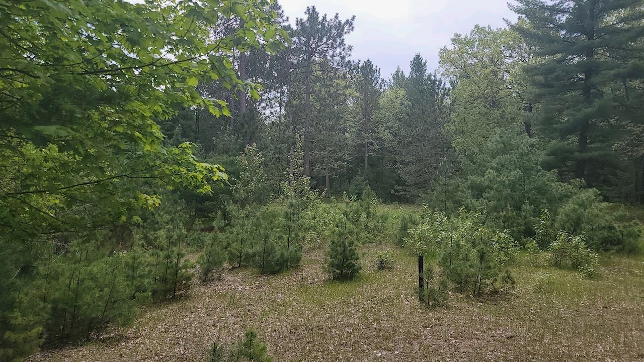 Xxx South Gladwin Road Prudenville, MI 48651 - Photo 8 of 10