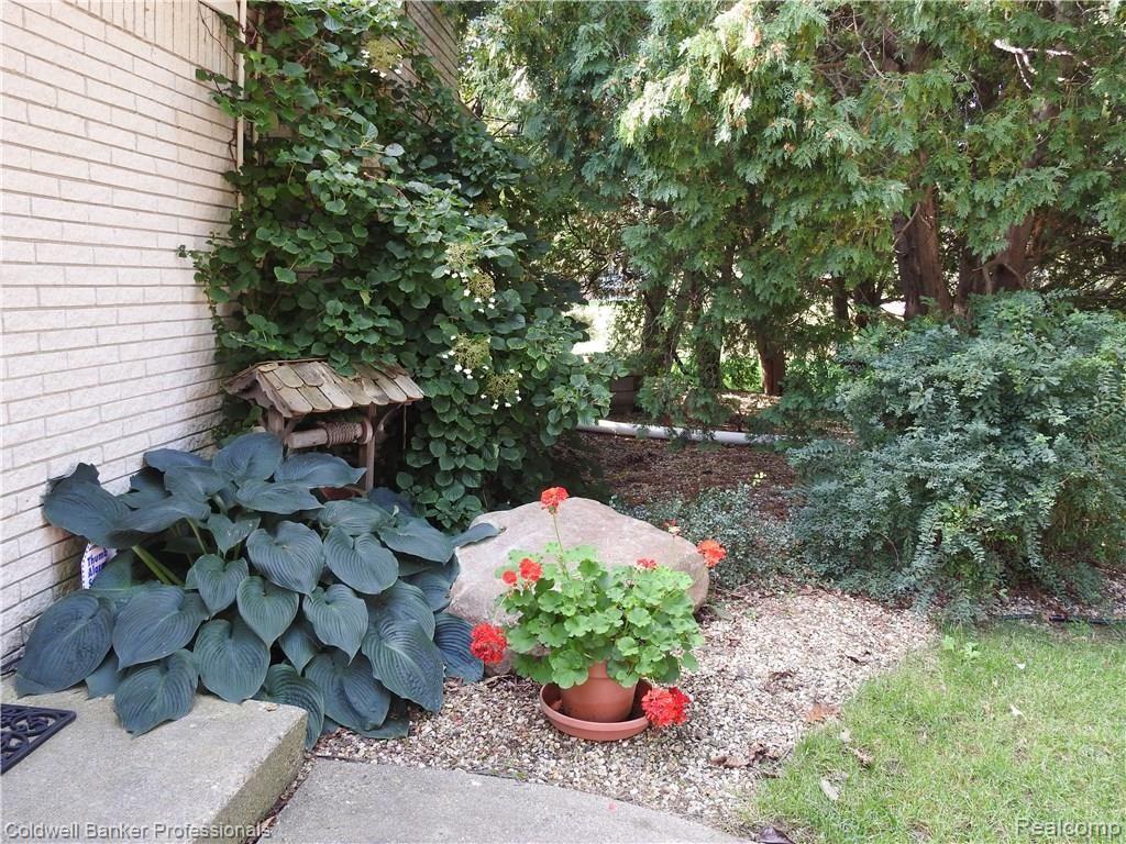 1550 Rulane Drive Lapeer, MI 48446 - Photo 3 of 43 DSCN9747.JPG