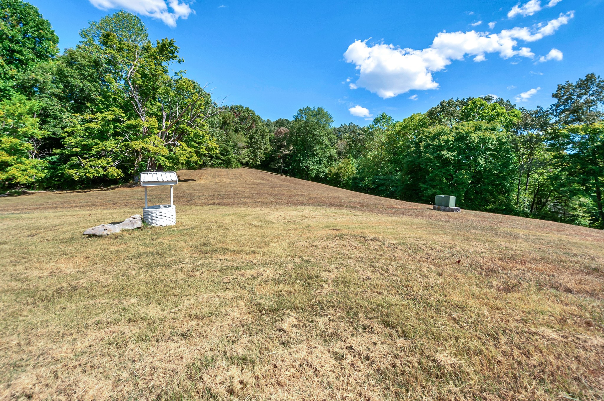1400 Slaydenwood Road Cumberland Furnace, TN 37051 - Photo 45 of 58 a backyard of a house with lots of green space