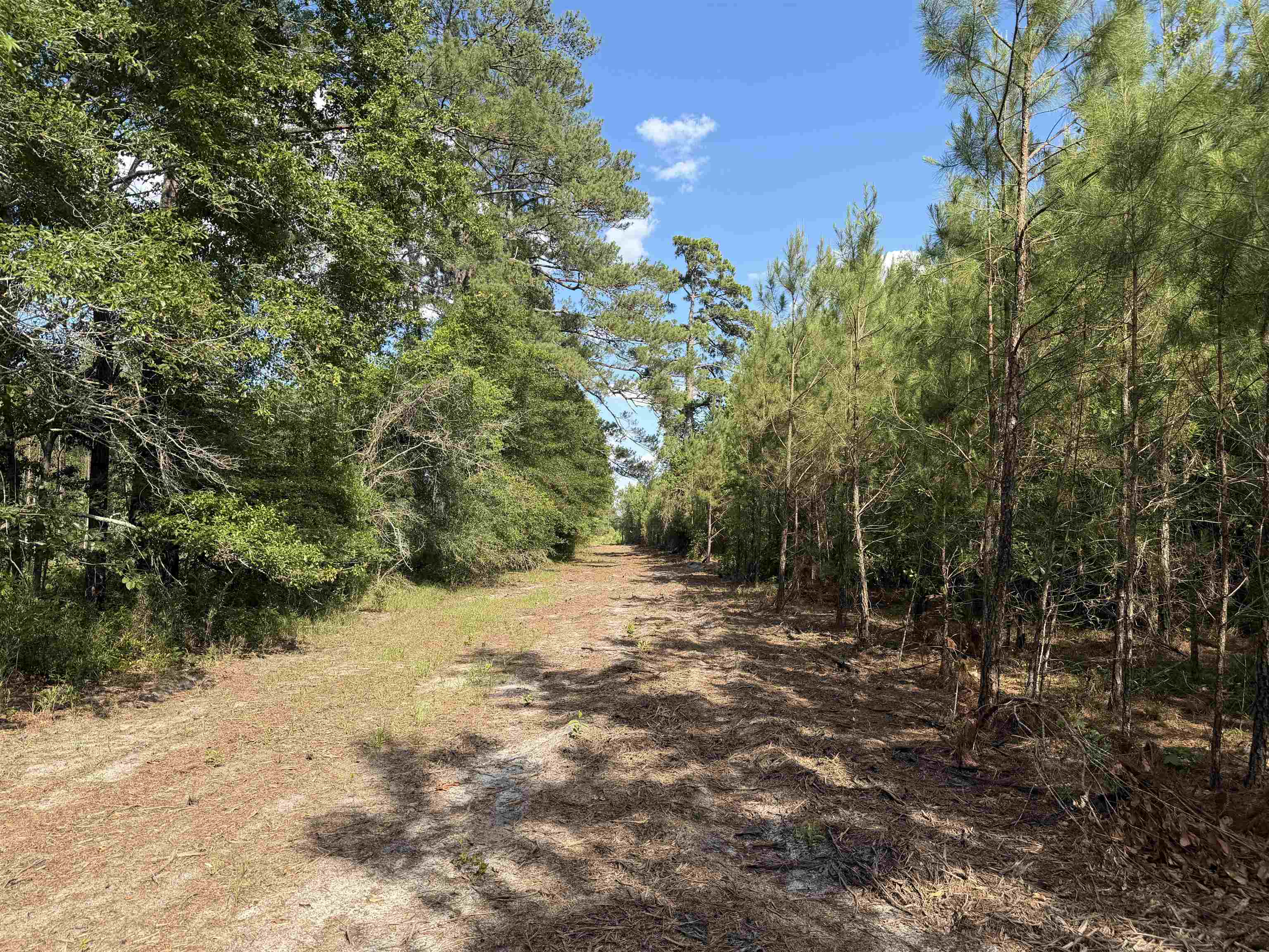 8862 Ware Drive Nichols, SC 29581 - Photo 21 of 22