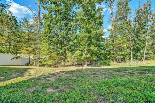 a view of outdoor space with trees all around