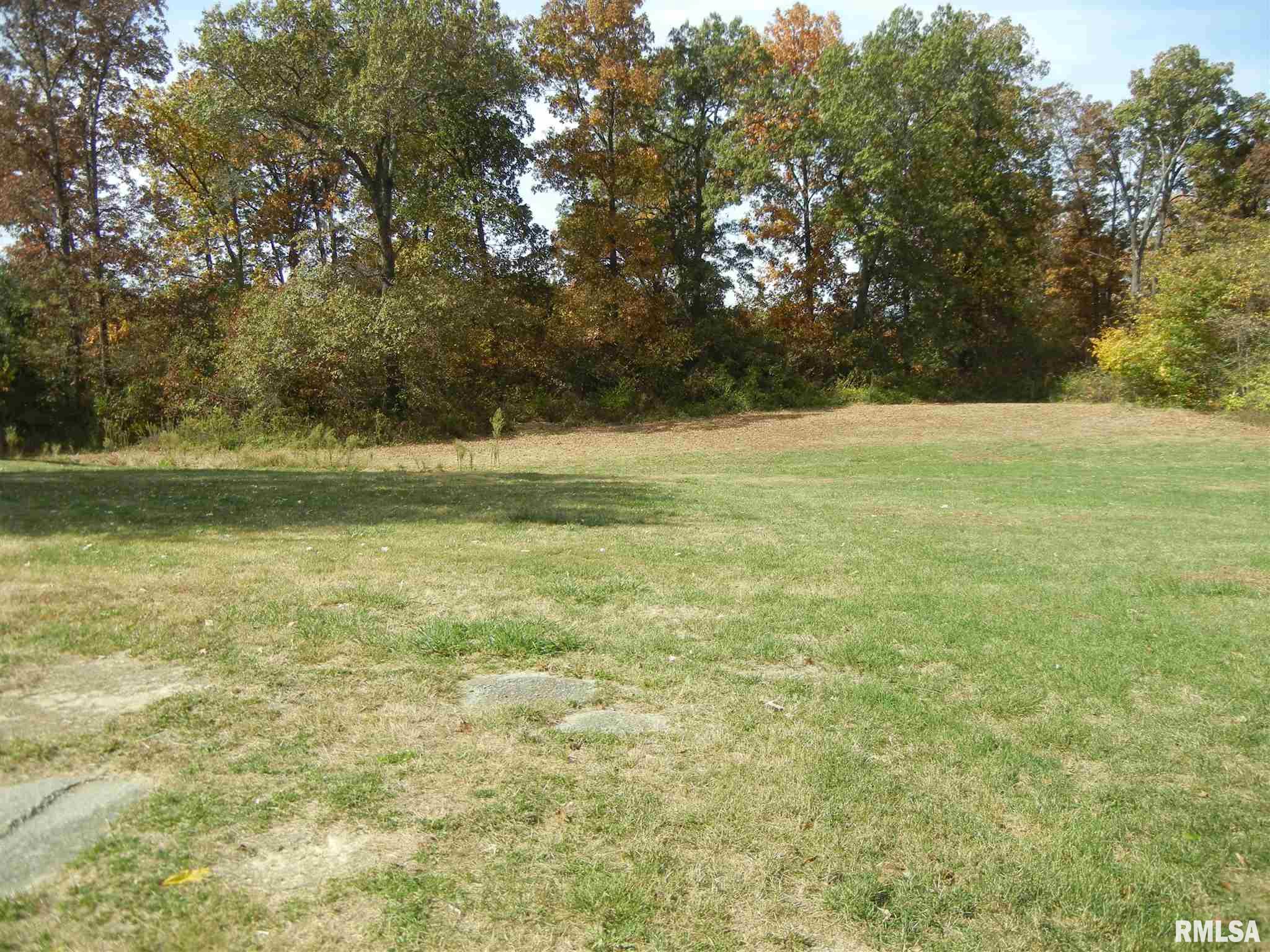 1631 Yards Road Salem, IL 62881 - Photo 31 of 35