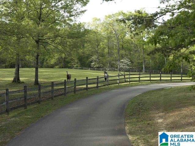 790 Cavalier Ridge, Unit 32 Birmingham, AL 35242 - Photo 2 of 43