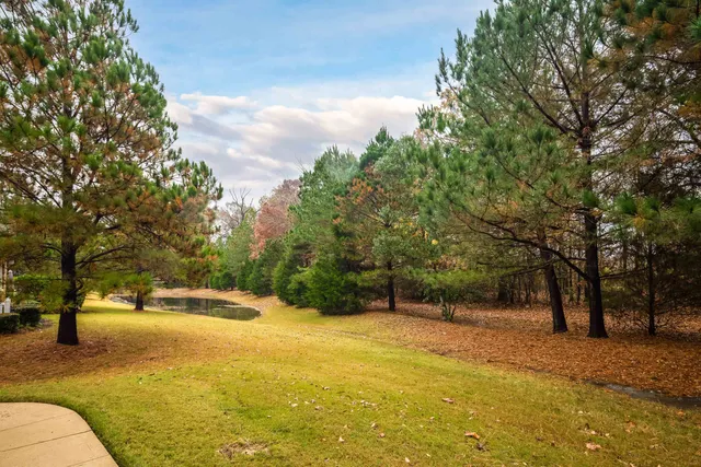 a view of outdoor space with trees