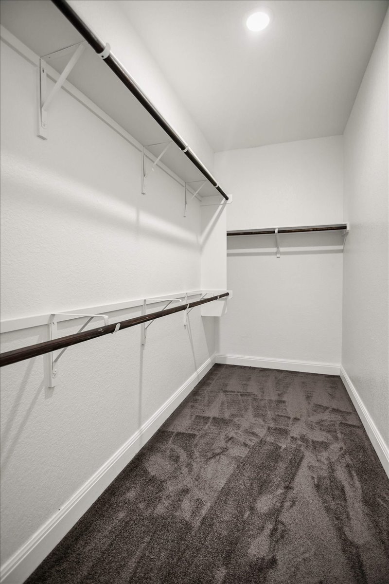 104 Raleigh Drive Georgetown, TX 78633 - Photo 20 of 37 A well-organized walk-in closet features ample hanging space and soft carpeting underfoot.