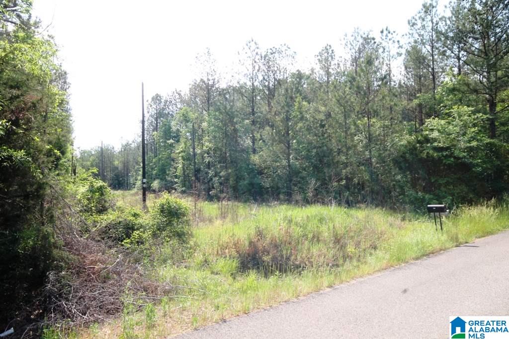 2654 Mayfield Road, Unit 4 44 Lincoln, AL 35096 - Photo 4 of 17