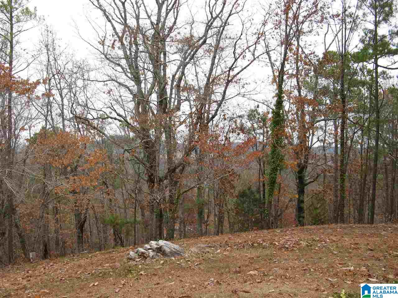 1508 Springhill Road Sylacauga, AL 35150 - Photo 2 of 41