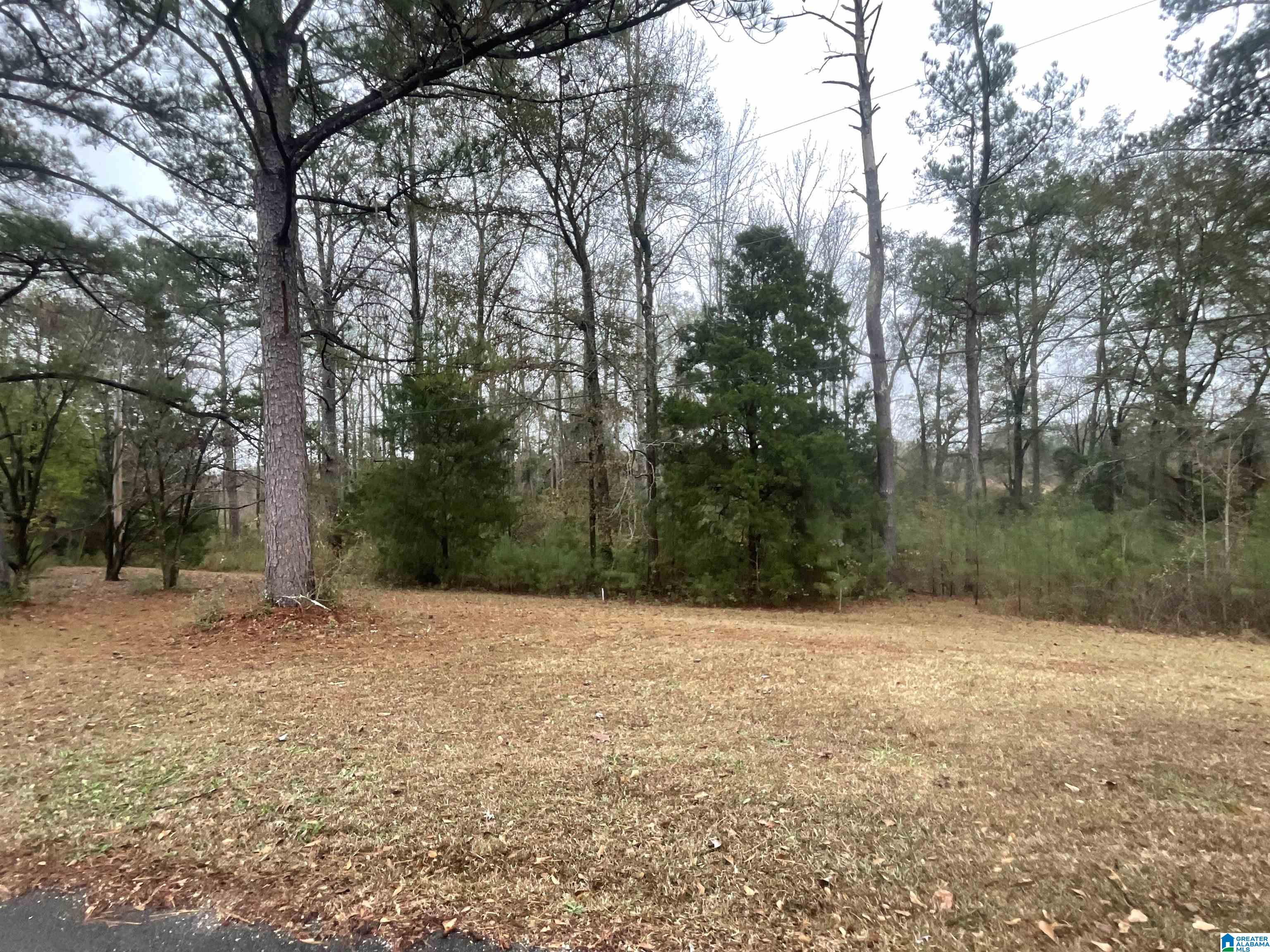 0 Friendship Circle Clanton, AL 35045 - Photo 4 of 4