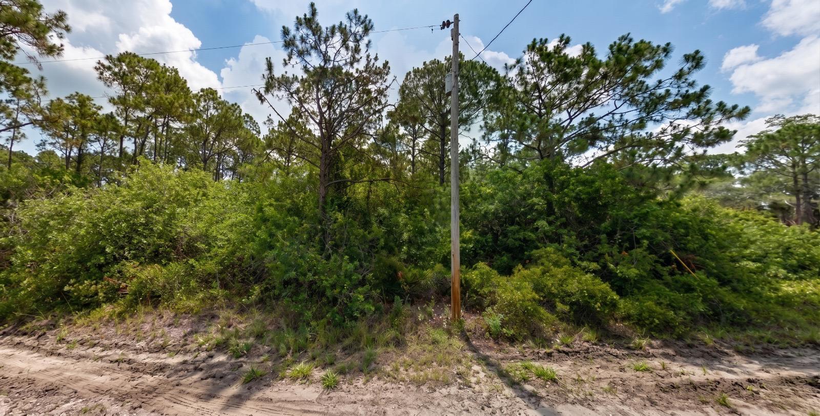 855 North Isora Street Clewiston, FL 33440 - Photo 6 of 10 a view of a forest with lots of trees