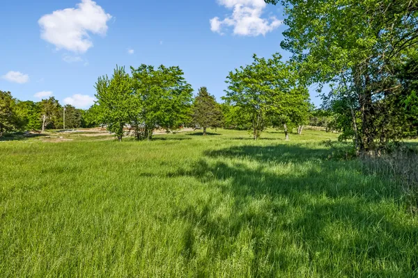 a view of a lush green space