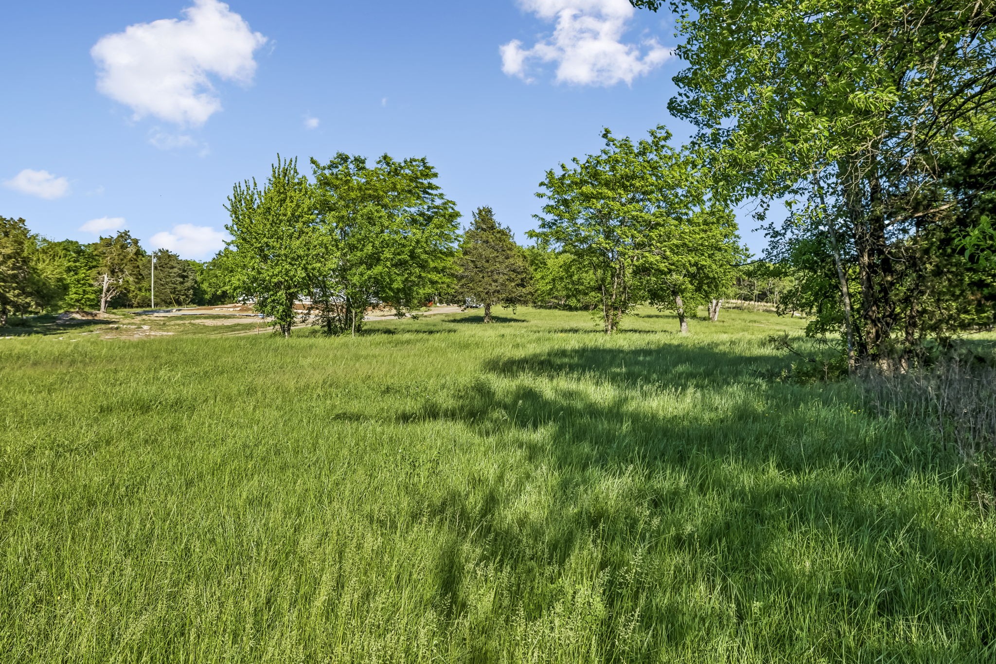 a view of a lush green space