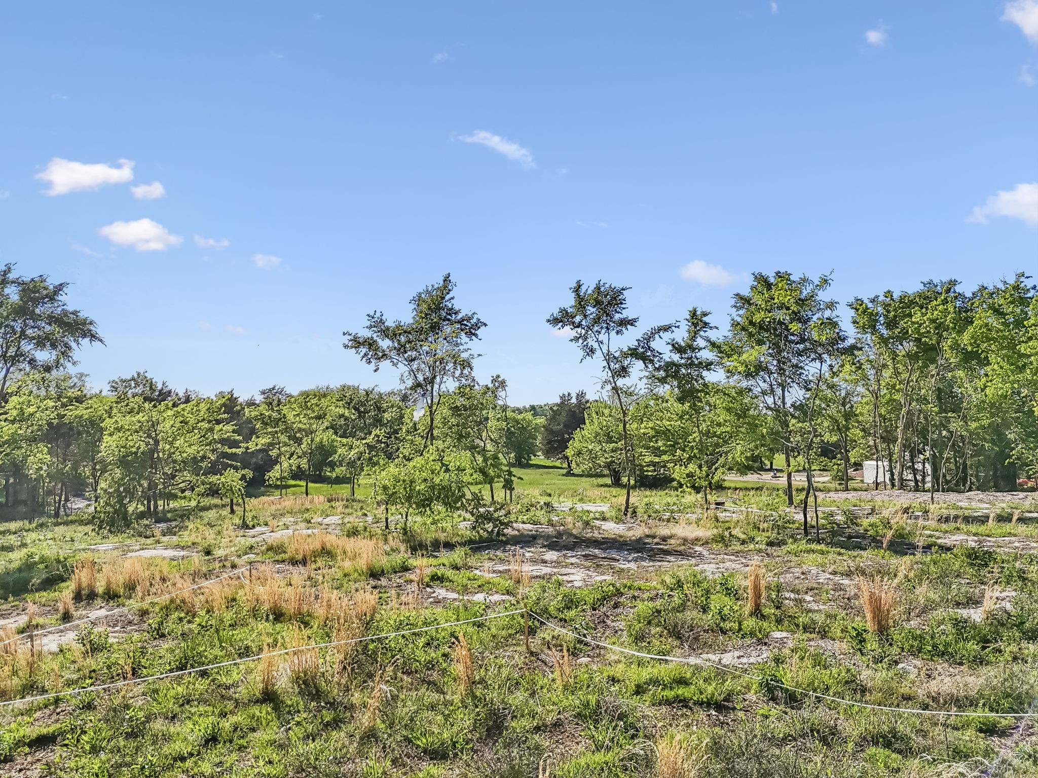 10567 Versailles Road Murfreesboro, TN 37128 - Photo 20 of 25 a view of a yard with plants and large trees