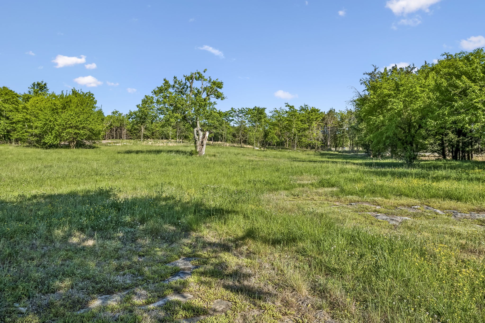 10567 Versailles Road Murfreesboro, TN 37128 - Photo 2 of 25 a yard with lots of green space and trees all around