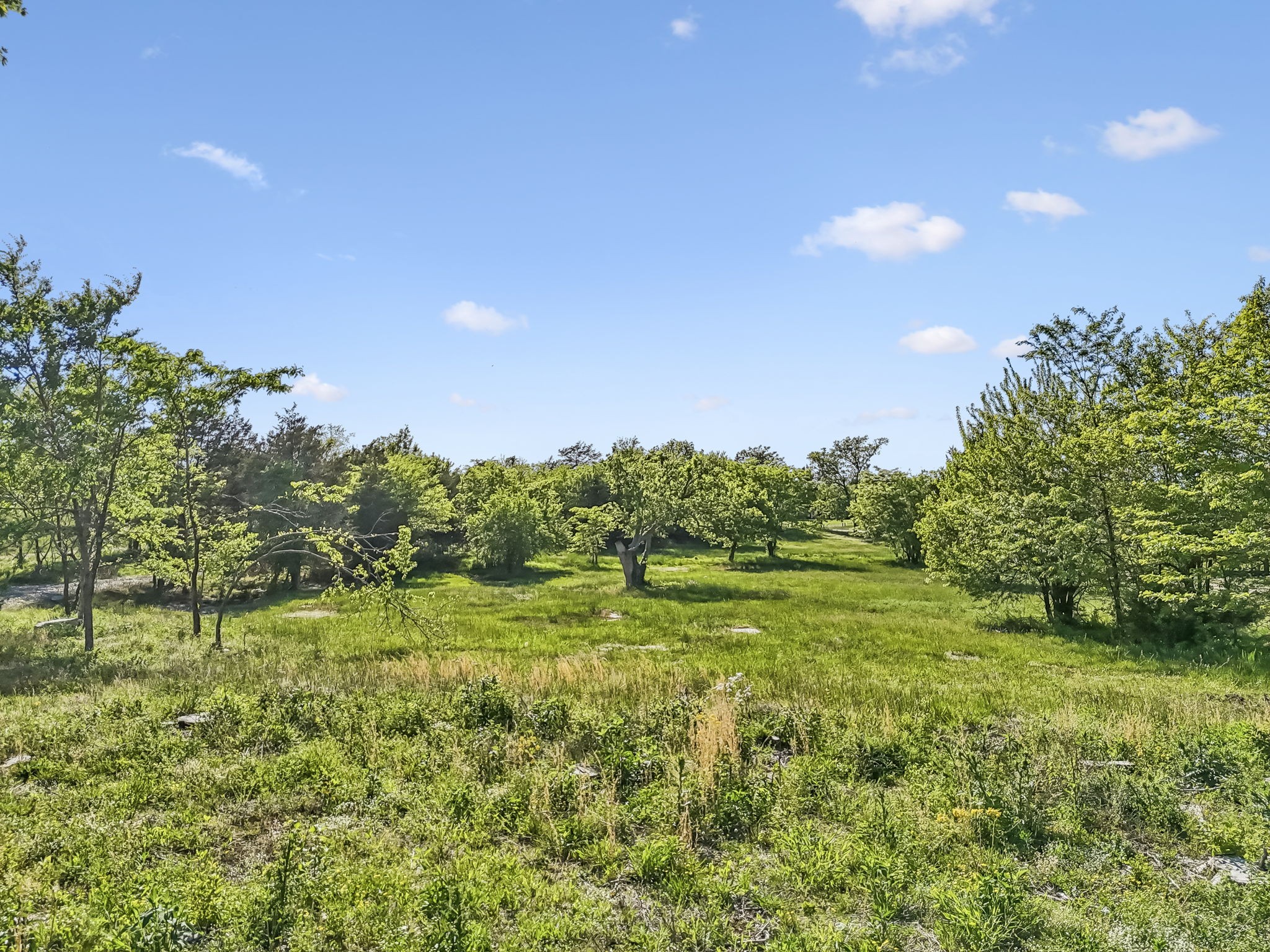 10567 Versailles Road Murfreesboro, TN 37128 - Photo 21 of 25 a view of a big yard with a large tree and a yard