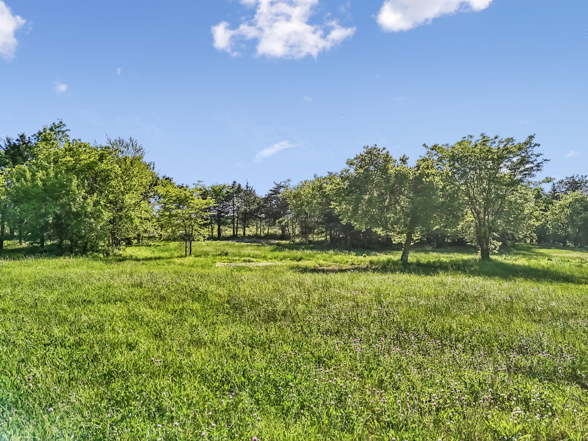 10567 Versailles Road Murfreesboro, TN 37128 - Photo 22 of 25 a view of a golf course with a lake